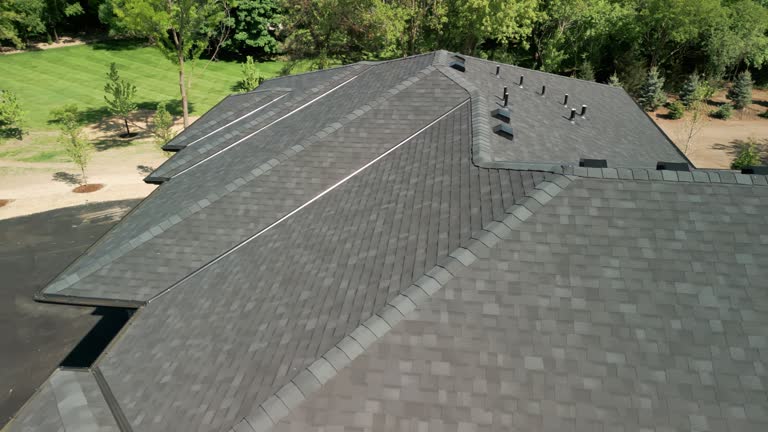 Best Solar Panel Roofing Installation  in Centralia, IL